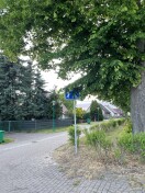 Foto: Verkehrsschild durch Baum verdeckt 